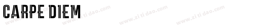 carpe diem字体转换
